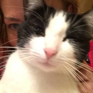 Meet your Posher, Drusilla